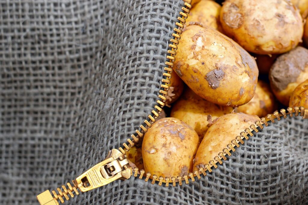 Kott kartuleid